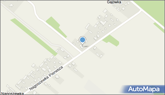 Firma Handlowo Usługowa, Nagoszewka Pierwsza 19 07-300 - Przedsiębiorstwo, Firma, NIP: 7621004021