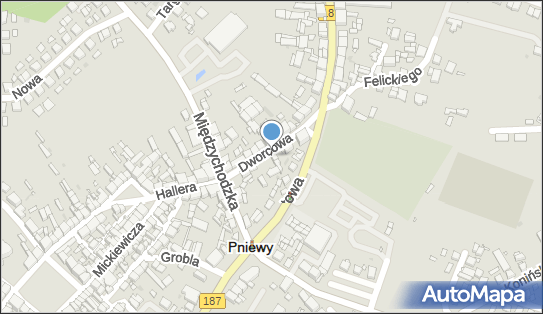 Firma Handlowo Usługowa, Dworcowa 34, Pniewy 62-045 - Przedsiębiorstwo, Firma, numer telefonu, NIP: 7870002305