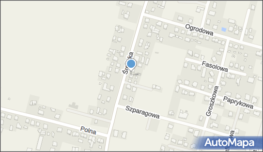 Firma Handlowo Usługowa, Średzka 25, Paczkowo 62-021 - Przedsiębiorstwo, Firma, NIP: 7771755740