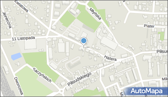 6991124917, Izabela Wojtkowiak Firma Handlowo-Usługowa 