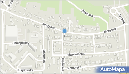 8130005299, Firma Produkcyjno-Handlowa 