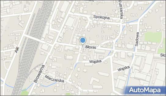 5530005195, Firma Produkcyjno- Handlowo- Usługowa Tomczyk Tomasz 