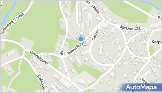 6111836041, Firma Prywatna 