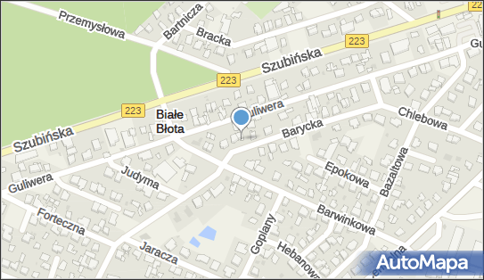 9532064608, Felicja Brzykcy 