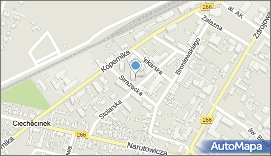 Firma Prywatna, Strażacka 4, Ciechocinek 87-720 - Przedsiębiorstwo, Firma, NIP: 8911022269
