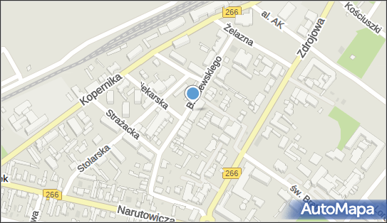 8911061588, Halina Borowicka 