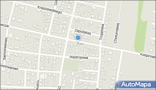 Firma Prywatna, ul. Jana Kasprowicza 46, Zgierz 95-100 - Przedsiębiorstwo, Firma, NIP: 7321009149