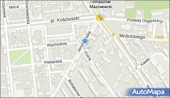 Firma Prywatna, Polna 3, Tomaszów Mazowiecki 97-200 - Przedsiębiorstwo, Firma, NIP: 7732052520