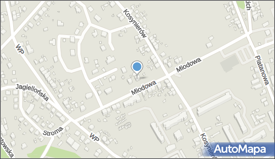Firma Prywatna, Miodowa 19, Gubin 66-620 - Przedsiębiorstwo, Firma, NIP: 9261228304