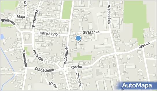 Firma Prywatna, ul. Tadeusza Kościuszki 170, Szydłowiec 26-500 - Przedsiębiorstwo, Firma, NIP: 7991340366