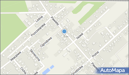 9910188620, Nowicka Agnieszka 