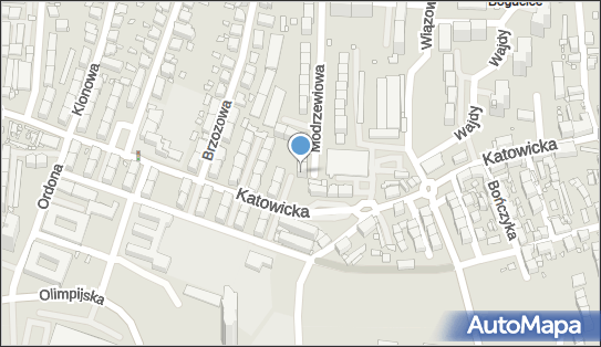 Firma Prywatna, Modrzewiowa 1, Katowice 40-171 - Przedsiębiorstwo, Firma, NIP: 9541411512