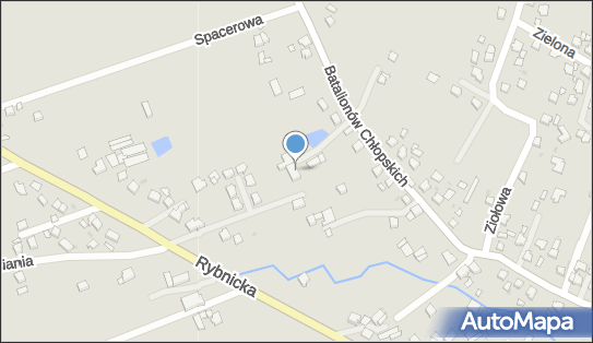 Firma Prywatna, Batalionów Chłopskich 27, Pszczyna 43-200 - Przedsiębiorstwo, Firma, NIP: 6381266470