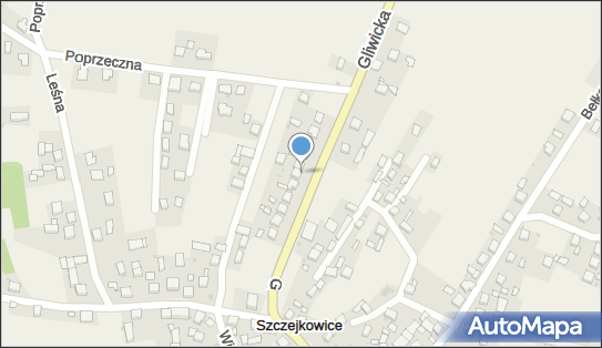 6423119786, Błażej Pędzik 