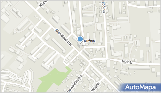 Firma Prywatna, ul. Henryka Sienkiewicza 66 27-400 - Przedsiębiorstwo, Firma, NIP: 6611280718