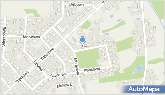 Firma Prywatna, Brzoskwiniowa 1, Stare Miasto 62-571 - Przedsiębiorstwo, Firma, NIP: 6651214780