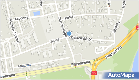 Firma Prywatna, Dąbrowskiego Jarosława, gen. 21, Gniezno 62-200 - Przedsiębiorstwo, Firma, NIP: 7841351463