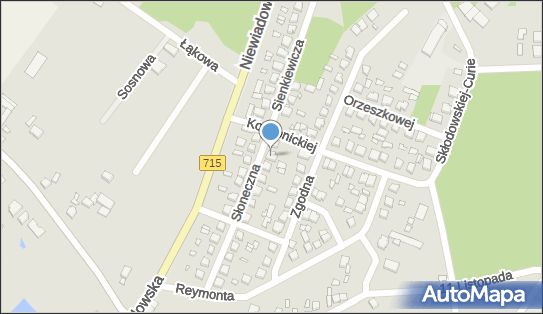 7731010838, Firma Przewozowa - 