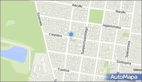 8221933622, Firma Rewizorska 