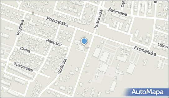 Firma Skwarczyński S i M Skwarczyńscy, Promienista 2, Pniewy 62-045 - Przedsiębiorstwo, Firma, numer telefonu, NIP: 7871958483