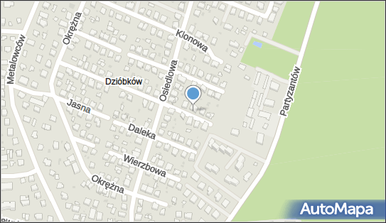 8171008248, Firma Transportowa 