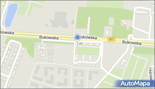 Firma Transportowa Trans Nik Tomasz Nickel Robert Gołembiewski 60-189 - Przedsiębiorstwo, Firma