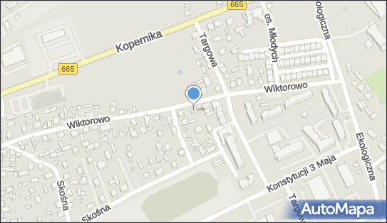 7191176617, Firma Transportowa - Skiendziel Bogdan 