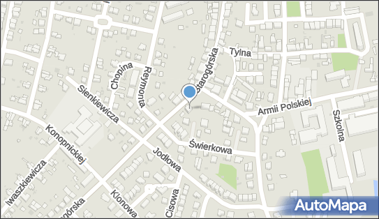 Firma Transportowo-Handlowa Rad-Trans Tytus Radecki, Starogórska 45 56-200 - Przedsiębiorstwo, Firma, NIP: 6991031972