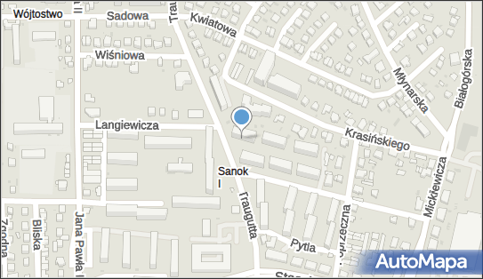 Firma Transportowo Handlowo Usługowa Speed, Armii Krajowej 17 38-500 - Przedsiębiorstwo, Firma, NIP: 6871151053