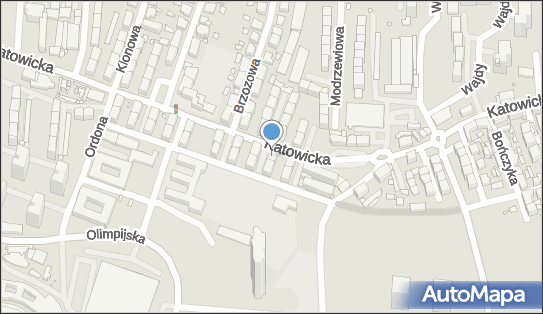 9542094829, Firma Transportowo-Przewozowa 