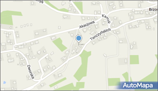 Firma Transportowo-Usługowa Przewóz Osób i Rzeczy, Brzoskwinia 32-084 - Przedsiębiorstwo, Firma, NIP: 5130152142