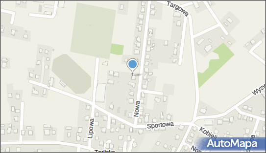 Firma Usług Transportowych, Nowa Osada 9, Chybie 43-520 - Przedsiębiorstwo, Firma, NIP: 5482346997