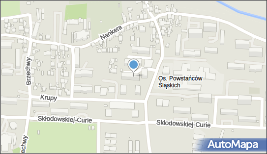 4980115606, Firma Usługowa Alternatywa-Luk Łukasz Ściebiorowski 