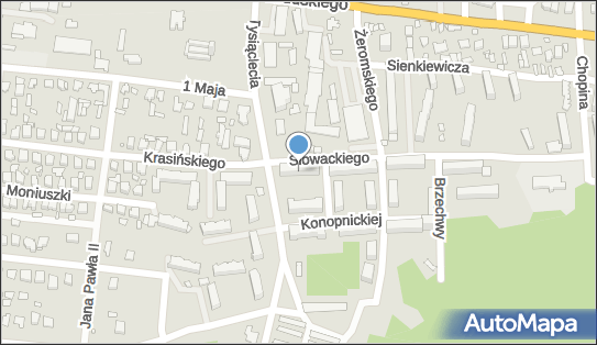 6581385021, Firma Usługowa 