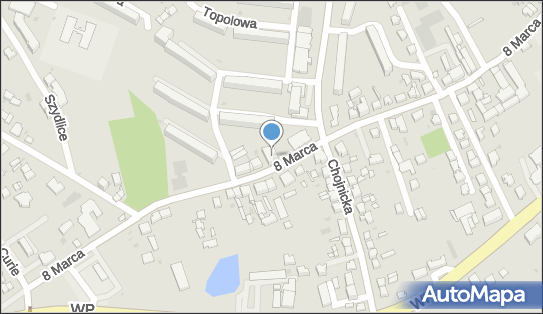Firma Usługowa Błysk Magdalena Płotka, 8 Marca 30, Kościerzyna 83-400 - Przedsiębiorstwo, Firma, NIP: 5911663819