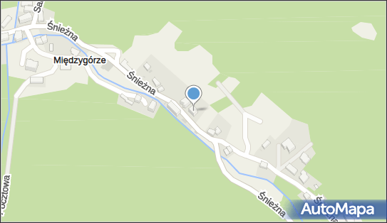 Firma Usługowa Daniel Zieliński, Śnieżna 6, Międzygórze 57-514 - Przedsiębiorstwo, Firma, NIP: 8811443445