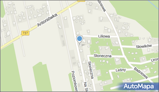7961134567, Firma Usługowa 