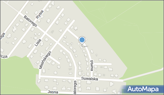 8491165570, Fiirma Usługowa 