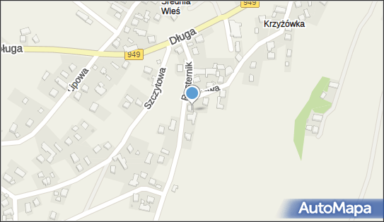 Firma usługowo-Handlowa Francik Franciszek Tyran, Pasternik 1 32-607 - Przedsiębiorstwo, Firma, NIP: 5491293102