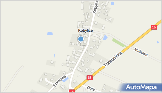 Firma Usługowo-Handlowa Krzysztof Gietling, Kobylice 6, Kobylice 55-100 - Przedsiębiorstwo, Firma, NIP: 9151182943