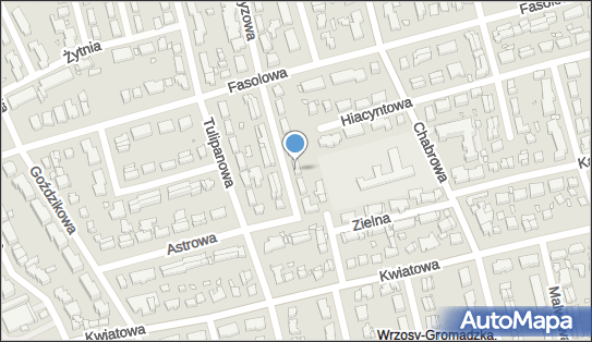 Firma Usługowo-Handlowa Lenet Lewandowski Jacek, Narcyzowa 28 87-100 - Przedsiębiorstwo, Firma, NIP: 9561207370