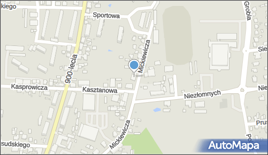 Firma Usługowo-Handlowa Opon - Mot Nowicki Szymon, Mogilno 88-300 - Przedsiębiorstwo, Firma, NIP: 5571402102