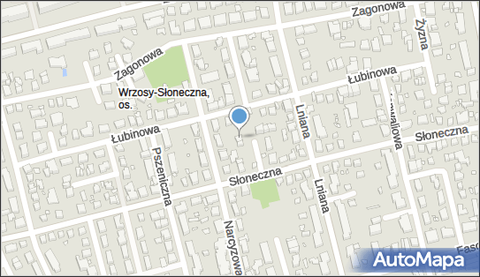 Firma Usługowo Handlowa Szudi Brothers, Chmielna 45, Toruń 87-100 - Przedsiębiorstwo, Firma, NIP: 9561675148