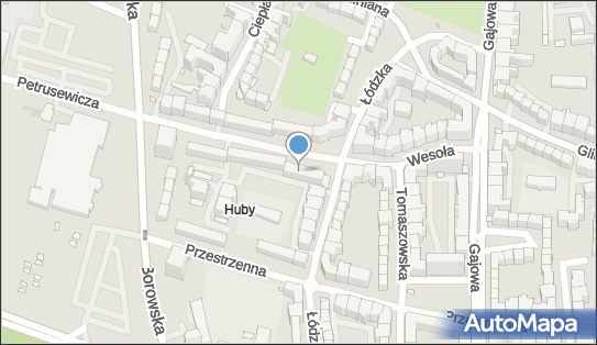 Firma Usługowo Handlowa, ul. Wesoła 27, Wrocław 50-521 - Przedsiębiorstwo, Firma, NIP: 9111478979