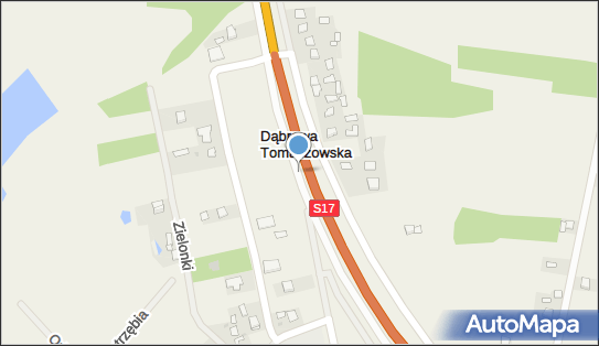 Firma Usługowo Handlowa, Dąbrowa Tomaszowska, Dąbrowa Tomaszowska 22-600 - Przedsiębiorstwo, Firma