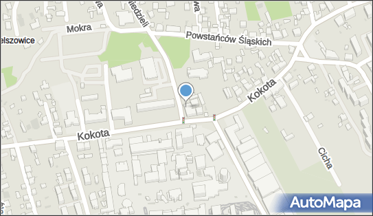 Firma Usługowo Handlowo Transportowa, ul. Edmunda Kokota 160 41-711 - Przedsiębiorstwo, Firma, numer telefonu, NIP: 6351013178