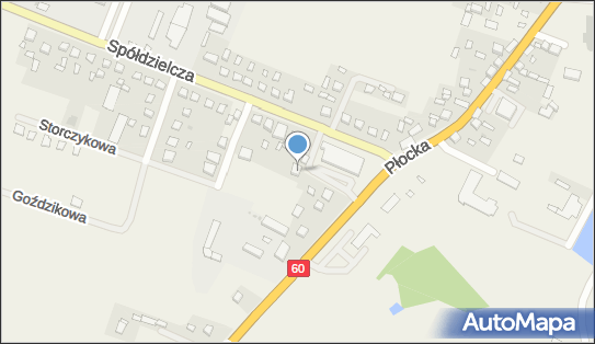 Firma Usługowo - Transportowa Dąbrowscy Aldona Dąbrowska, Bielsk 09-230 - Przedsiębiorstwo, Firma, NIP: 7761241979