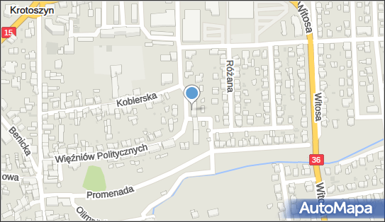 Firma Zoologiczna Produkcyjno Handlowa Dari, Krotoszyn 63-700 - Przedsiębiorstwo, Firma, NIP: 6211380327