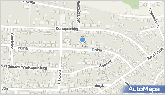 Fizjo-Reh Łukaszyk, Polna 41, Nowy Tomyśl 64-300 - Przedsiębiorstwo, Firma, NIP: 7881962457