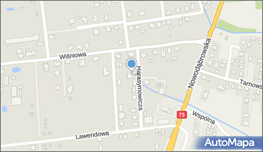 Fizjo Smyk Rehabilitacja Dziecięca, ul. Jerzego Harasymowicza 7 33-103 - Przedsiębiorstwo, Firma, numer telefonu, NIP: 8732835292